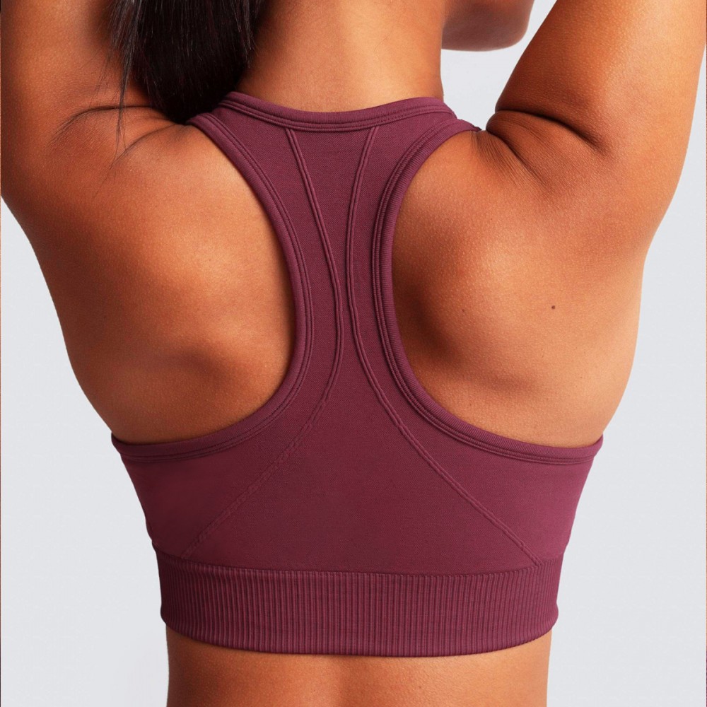 Quick-dry beauty back sports bra outdoor sports running seamless knit fitness vest 