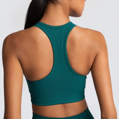 Quick-dry beauty back sports bra outdoor sports running seamless knit fitness vest 