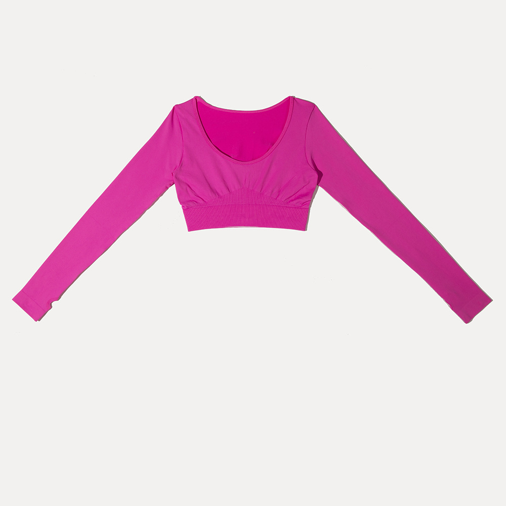 Cross-border Europe and the United States new seamless Yoga clothing women’s fitness clothing long-sleeved speed-dry running high-waisted pants 
