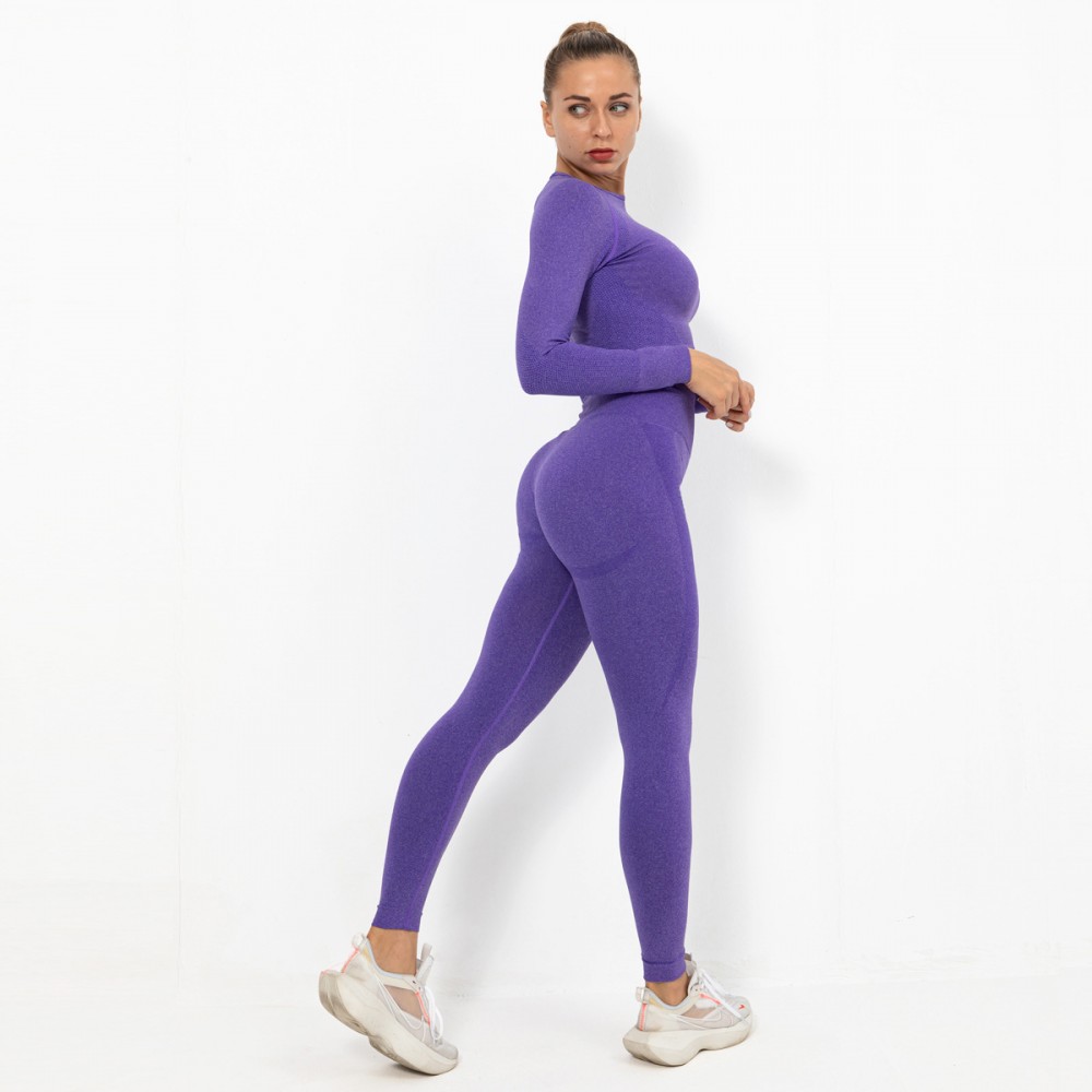 Spot Europe and the United States seamless yoga suit women crescent tight elastic long-sleeve running fitness suit women 