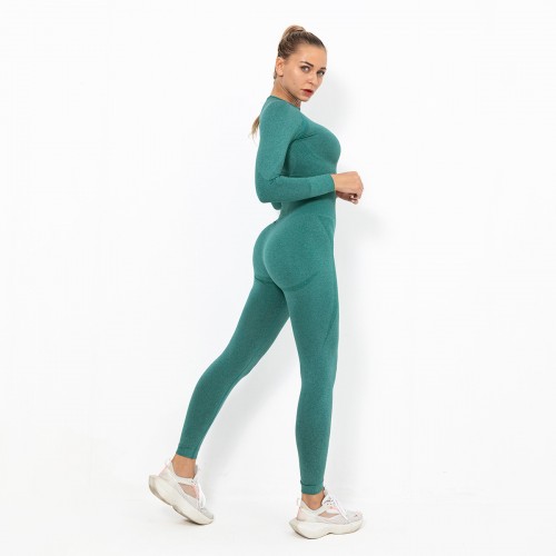 Spot Europe and the United States seamless yoga suit women crescent tight elastic long-sleeve running fitness suit women