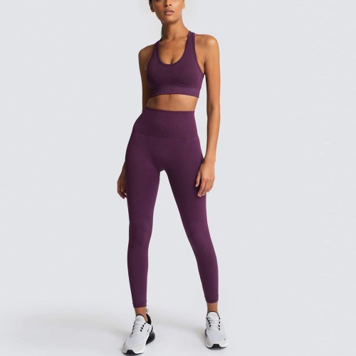 Europe and the United States hot-selling new seamless knitting Butt Movement Yoga set fitness Bra vest set tight pants women 