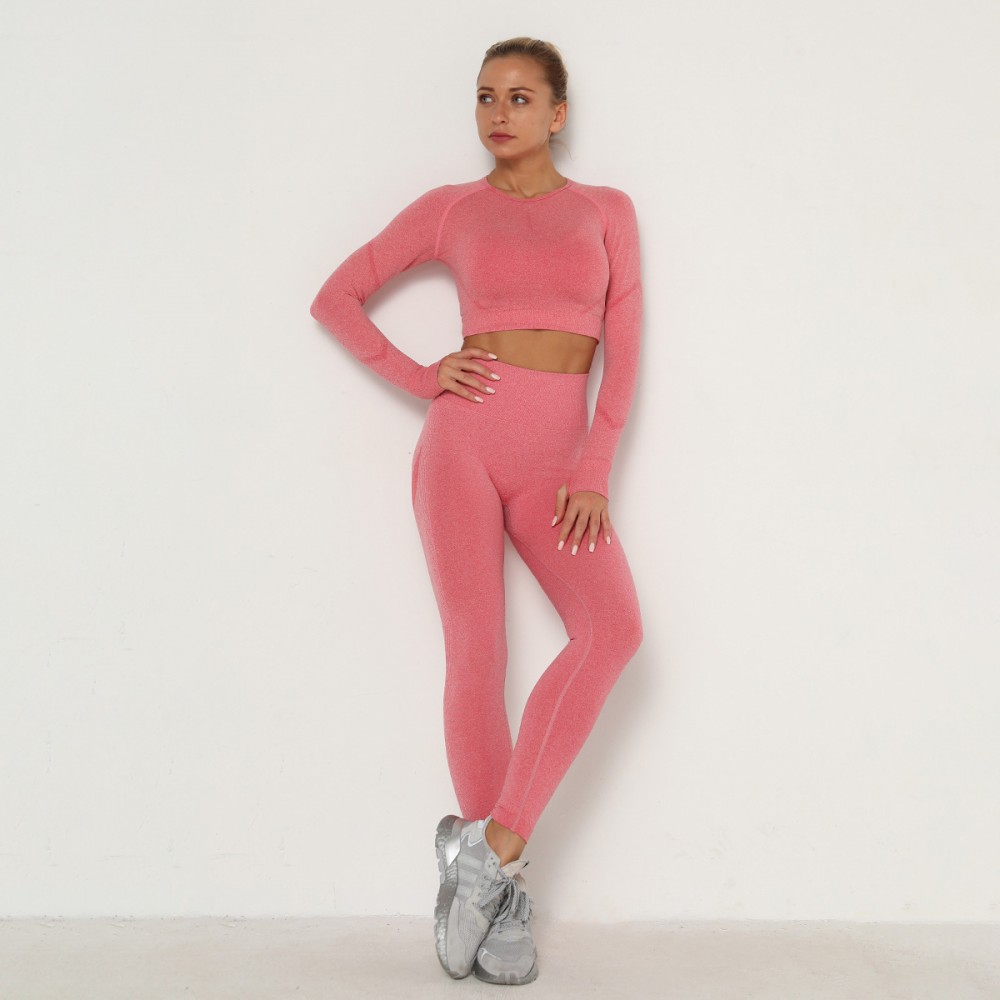 Cross-border Europe and the United States, seamless yoga suit Sweat Butt, high-waisted fitness pants tight long-sleeved sports suit women 