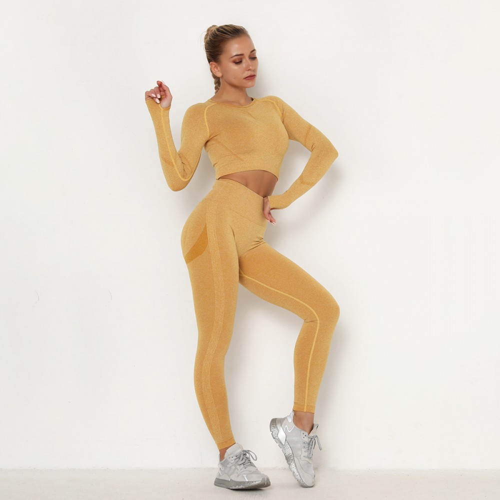 Cross-border Europe and the United States, seamless yoga suit Sweat Butt, high-waisted fitness pants tight long-sleeved sports suit women 