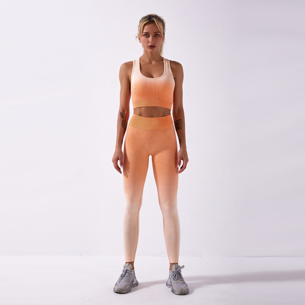Shark Knit Aybl Bra Pants, tie-dyed gradient seamless yoga suit fall/winter women workout 