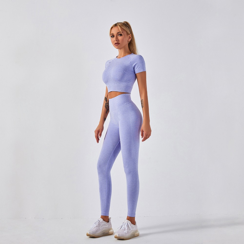 Women Fitness Active Gym Seamless Botee Yoga Set 
