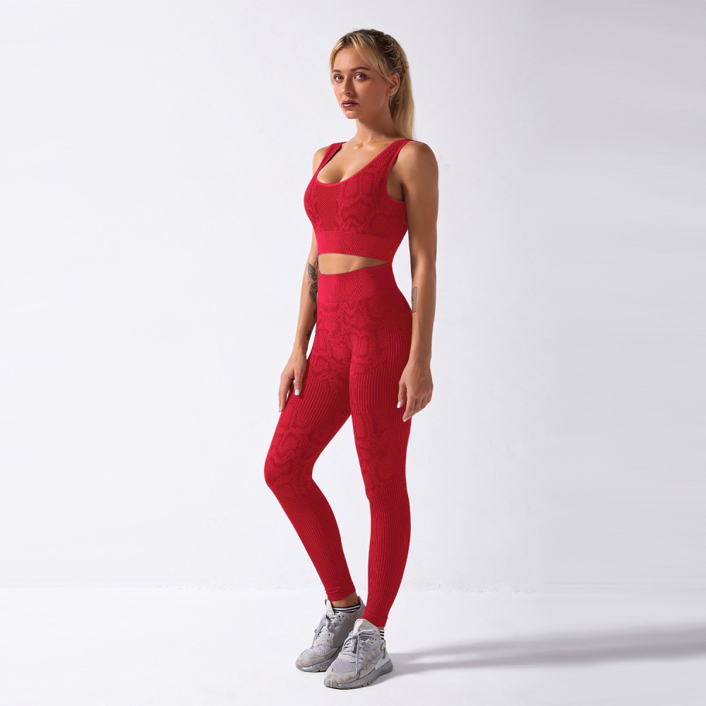New European and n cross-border Amazon stand-alone seamless exercise yoga fitness snake suit 